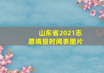 山东省2021志愿填报时间表图片