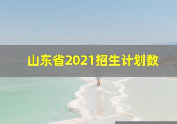 山东省2021招生计划数