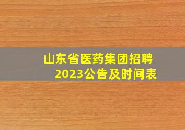 山东省医药集团招聘2023公告及时间表