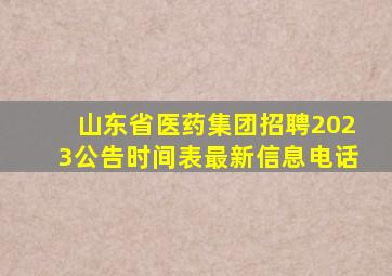 山东省医药集团招聘2023公告时间表最新信息电话