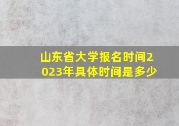 山东省大学报名时间2023年具体时间是多少