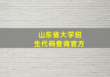 山东省大学招生代码查询官方