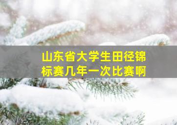 山东省大学生田径锦标赛几年一次比赛啊