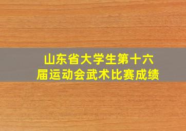 山东省大学生第十六届运动会武术比赛成绩