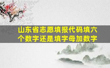 山东省志愿填报代码填六个数字还是填字母加数字