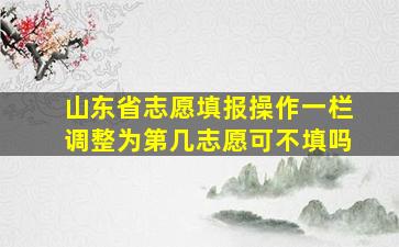 山东省志愿填报操作一栏调整为第几志愿可不填吗