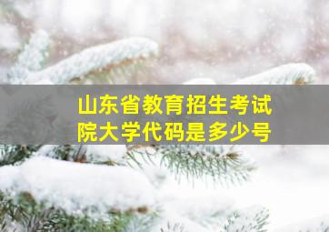 山东省教育招生考试院大学代码是多少号