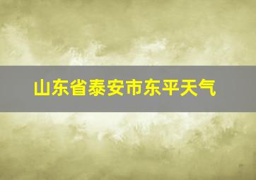 山东省泰安市东平天气