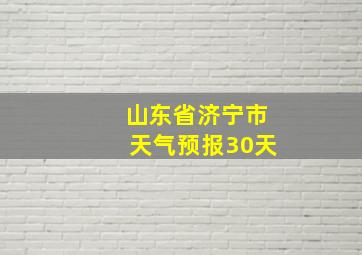 山东省济宁市天气预报30天