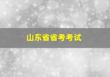 山东省省考考试