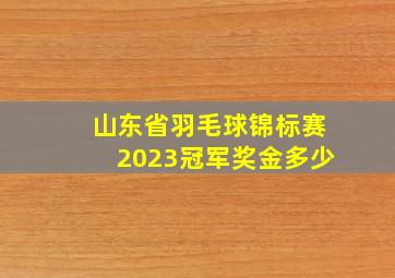 山东省羽毛球锦标赛2023冠军奖金多少