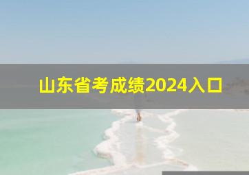 山东省考成绩2024入口