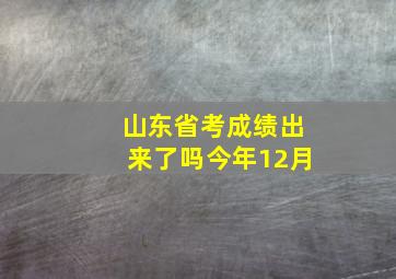 山东省考成绩出来了吗今年12月