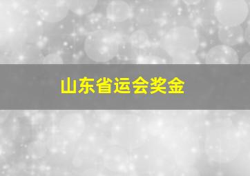 山东省运会奖金