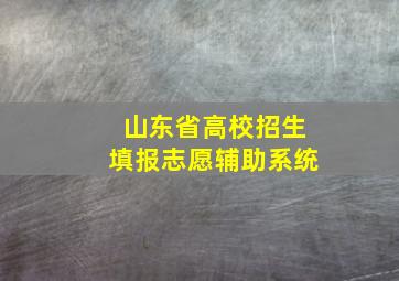 山东省高校招生填报志愿辅助系统