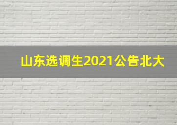 山东选调生2021公告北大