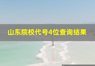 山东院校代号4位查询结果