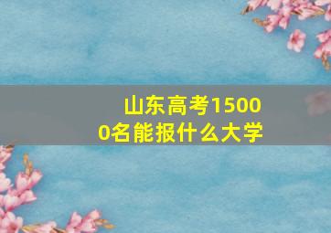 山东高考15000名能报什么大学