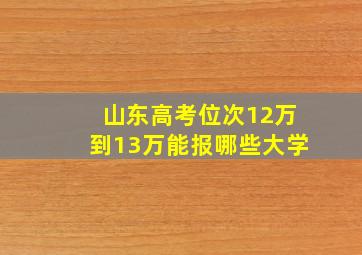 山东高考位次12万到13万能报哪些大学