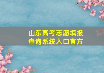 山东高考志愿填报查询系统入口官方