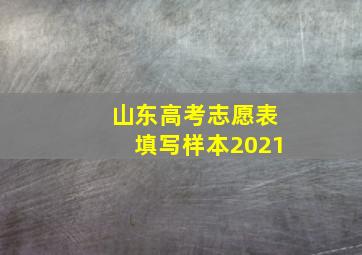 山东高考志愿表填写样本2021