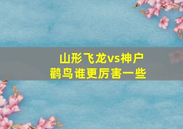 山形飞龙vs神户鹳鸟谁更厉害一些