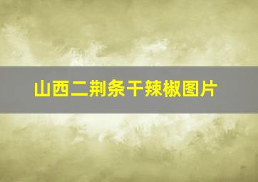 山西二荆条干辣椒图片