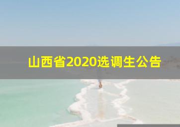 山西省2020选调生公告