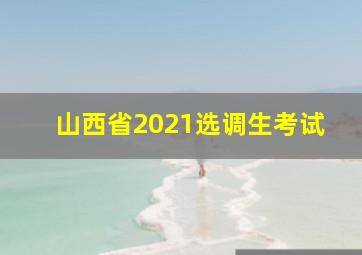 山西省2021选调生考试