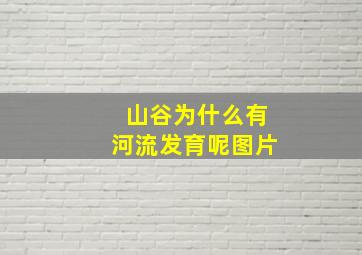 山谷为什么有河流发育呢图片