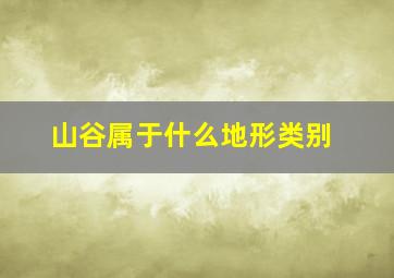 山谷属于什么地形类别