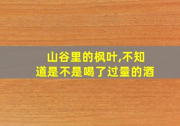 山谷里的枫叶,不知道是不是喝了过量的酒