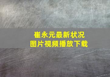 崔永元最新状况图片视频播放下载