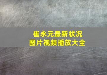 崔永元最新状况图片视频播放大全