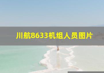 川航8633机组人员图片