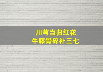 川芎当归红花牛膝骨碎补三七