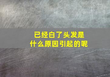 已经白了头发是什么原因引起的呢