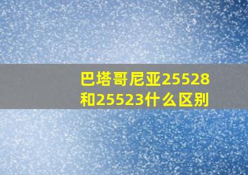 巴塔哥尼亚25528和25523什么区别