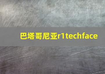 巴塔哥尼亚r1techface