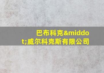 巴布科克·威尔科克斯有限公司