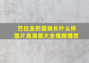 巴拉圭的国旗长什么样图片高清版大全视频播放