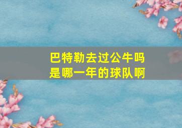 巴特勒去过公牛吗是哪一年的球队啊