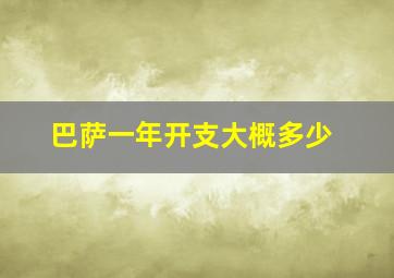 巴萨一年开支大概多少