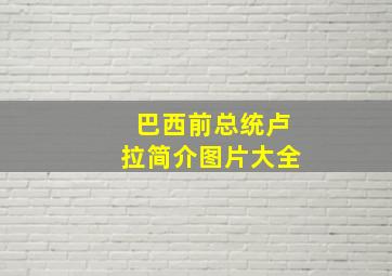 巴西前总统卢拉简介图片大全