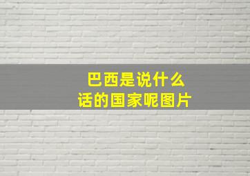 巴西是说什么话的国家呢图片