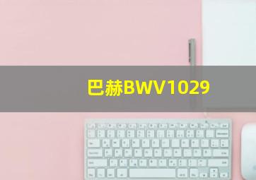 巴赫BWV1029