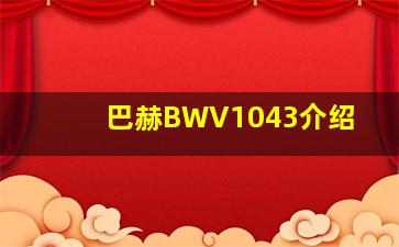 巴赫BWV1043介绍