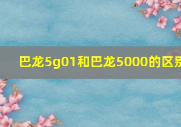 巴龙5g01和巴龙5000的区别