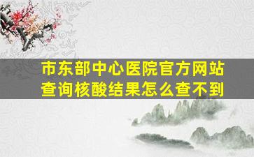 市东部中心医院官方网站查询核酸结果怎么查不到