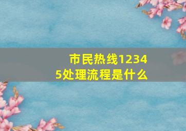 市民热线12345处理流程是什么